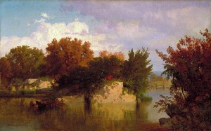 Trees along stream in fall
